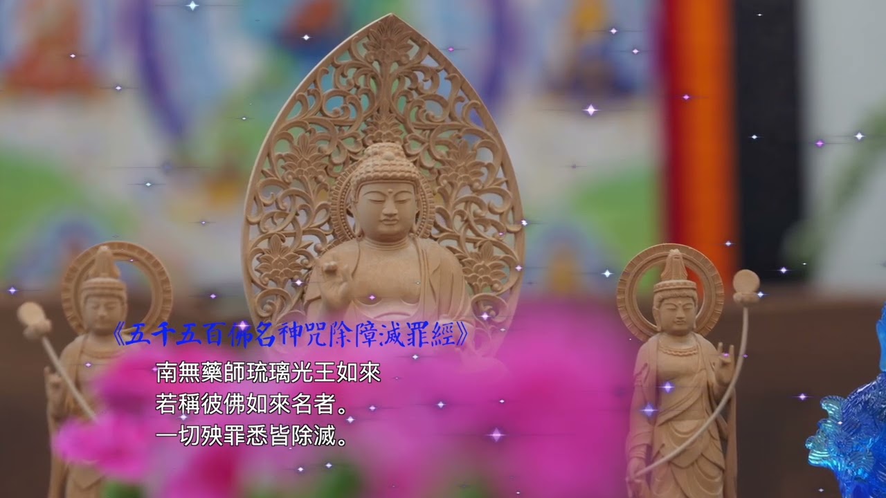 智廣阿闍梨藥師琉璃光王如來加持禪修