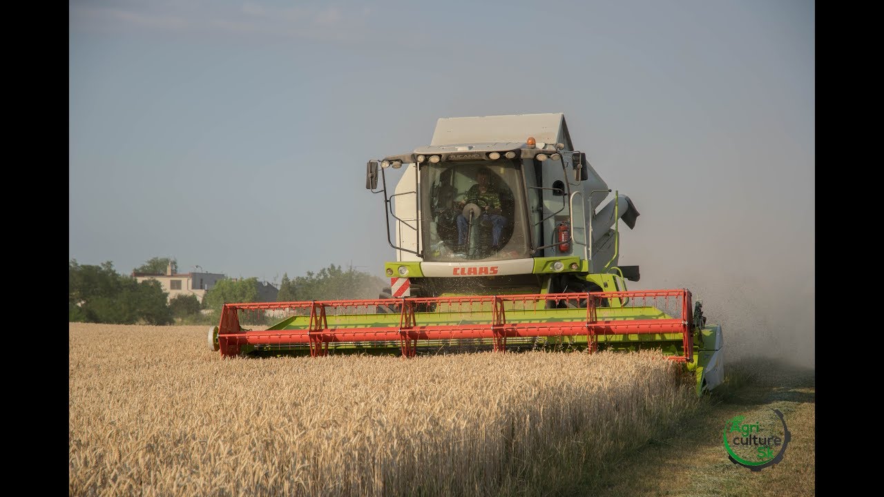 Wheat harvest 2017 | Slovakia |