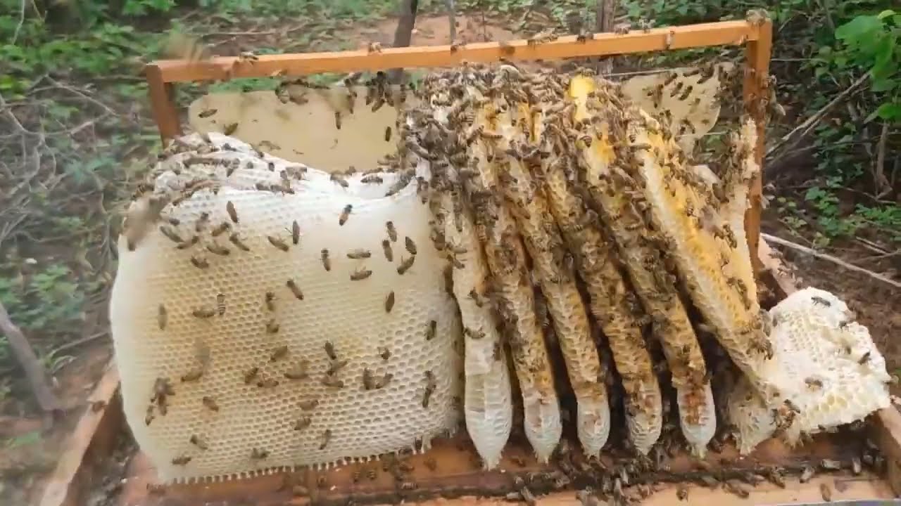 PUXOU TORTO TEM QUE CONCERTAR
