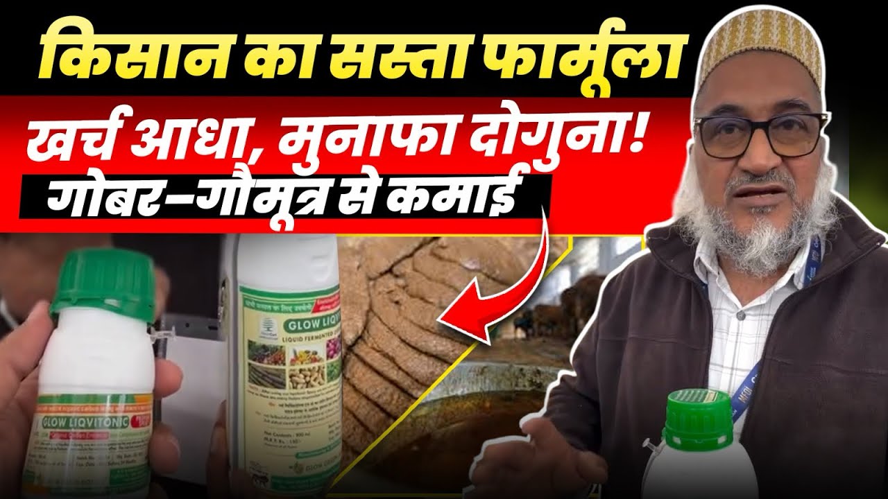 खेती में खर्च से परेशान? 😳👉🏻गोबर–गौमूत्र से अपनाएँ ये देसी तरीका👉🏻 मुनाफा होगा सीधे डबल!