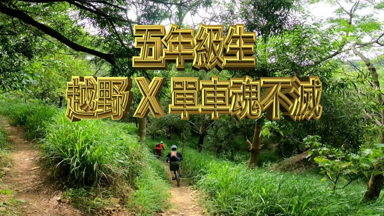 台中 捲毛林道，台灣越野單車路線之70