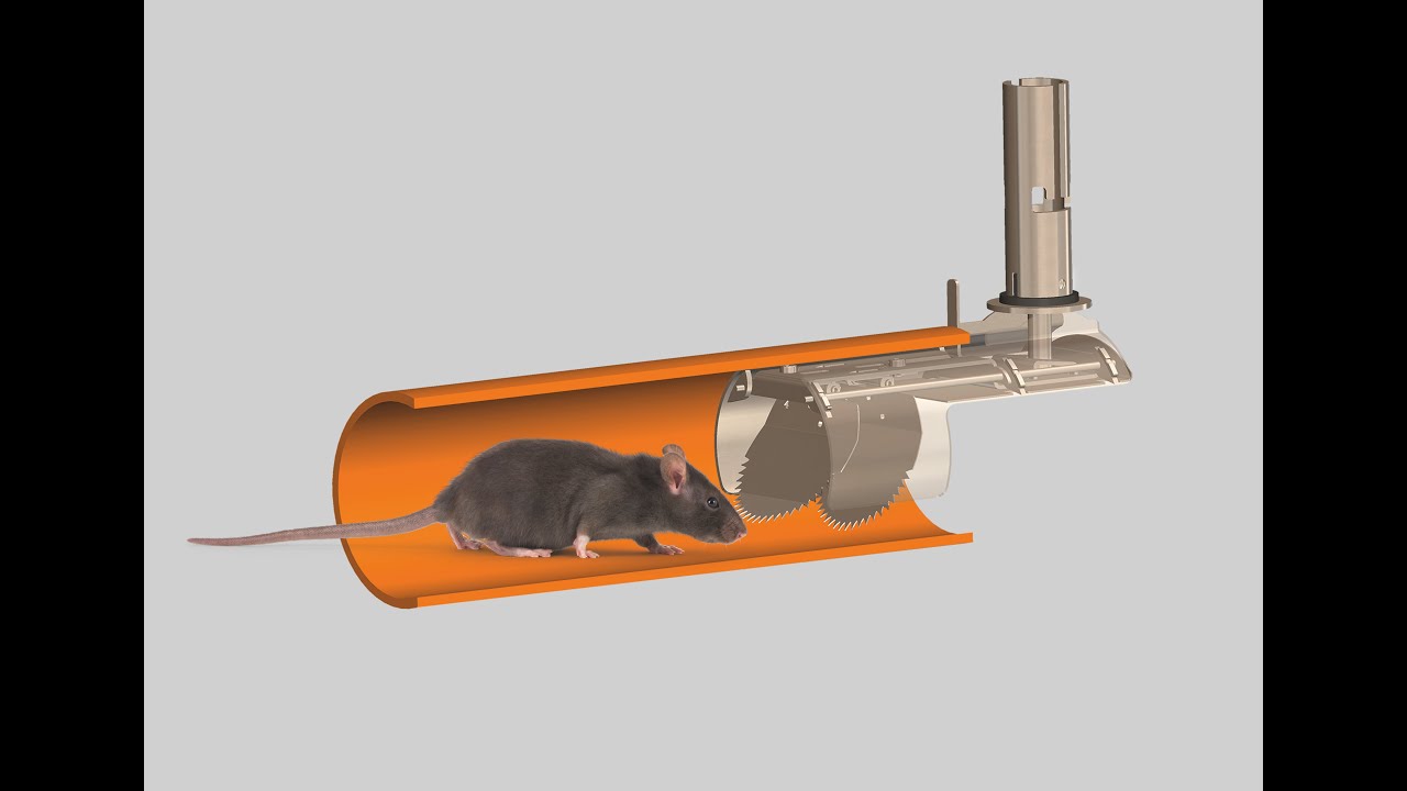 BERNACLAP® - Solutions anti-intrusion de rongeurs BERNATOM