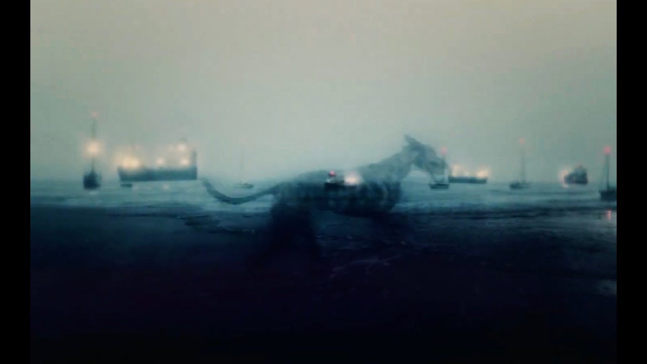 výrin - sol