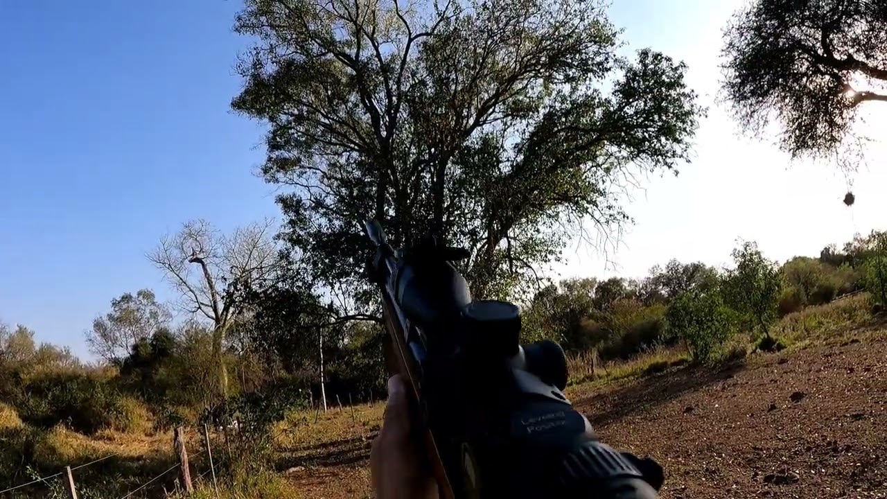 Tarde de marisca 🦅🔫Fox Pcp pr900W 5.5 👌🏼💪🏼😎 @marcosezequiel2609