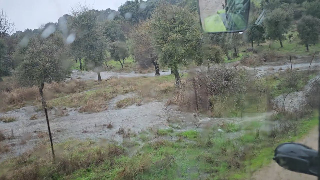 Seguimos con el diluvio, como esta todo de agua 👍