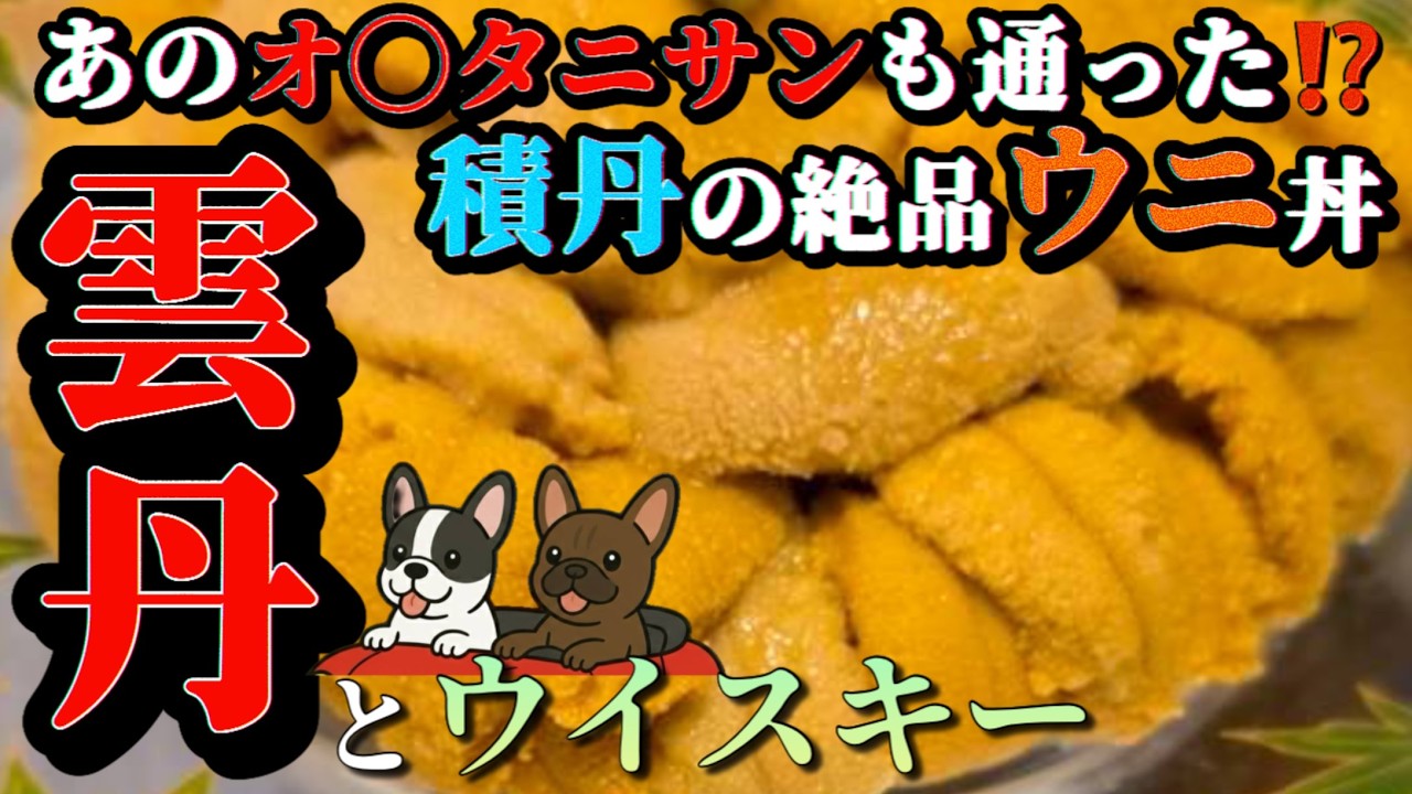【北海道】ウニ❗️雲丹‼️UNI⁉️もう食べ切れない！特盛りうに丼と余市ウイスキー爆買いの旅、ときどきカムイ岬