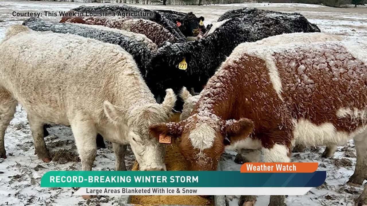 Record Breaking Winter Storm Fern Slams Farm Country