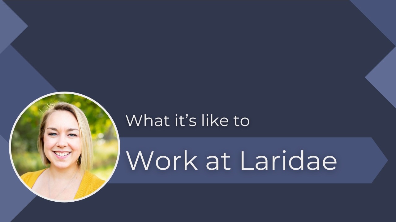 Laridae Culture: What is it like at Laridae?