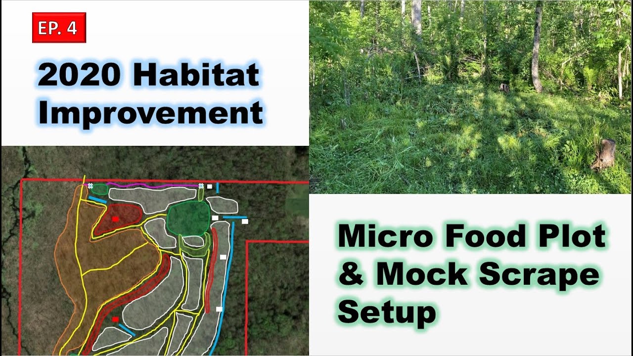 2020 Habitat Improvement Ep.4 - Micro Food Plot & Mock Scrape Setup