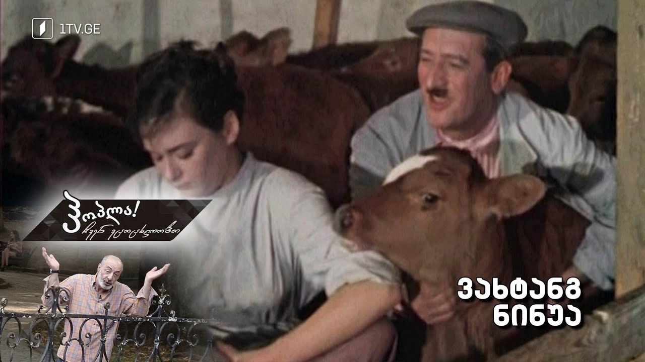ჰოპლა ჩვენ ვცოცხლობთ! ვახტანგ ნინუა
