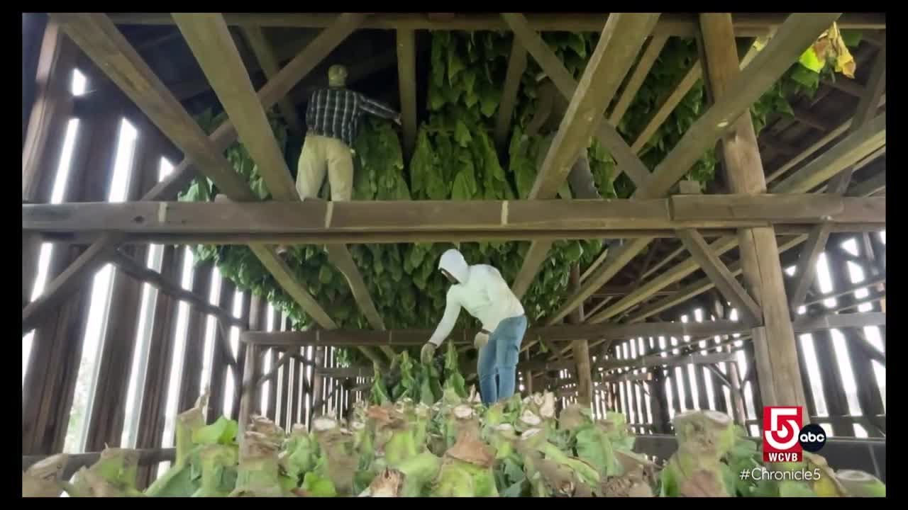 In Hadley, Mass., farming is family