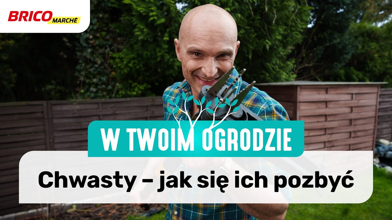 Chwasty – jak sobie z nimi radzić? [W Twoim ogrodzie]