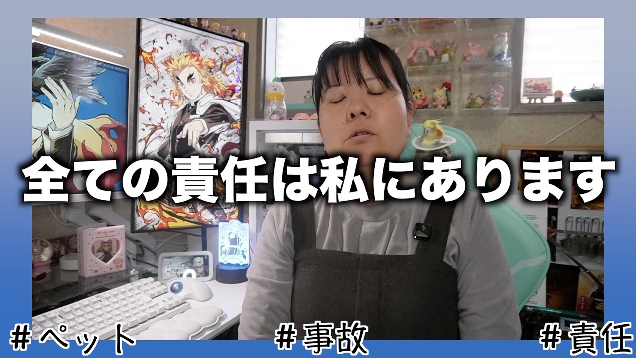 【特番】全ての責任は私にあります。ペットの事故について。そしてその後。。。