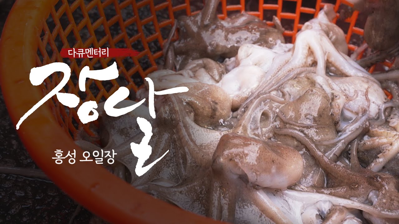 홍성 오일장 | 보물을 품은 바다를 담고 있는 홍성오일장 | 다큐멘터리 장날 | 대전MBC