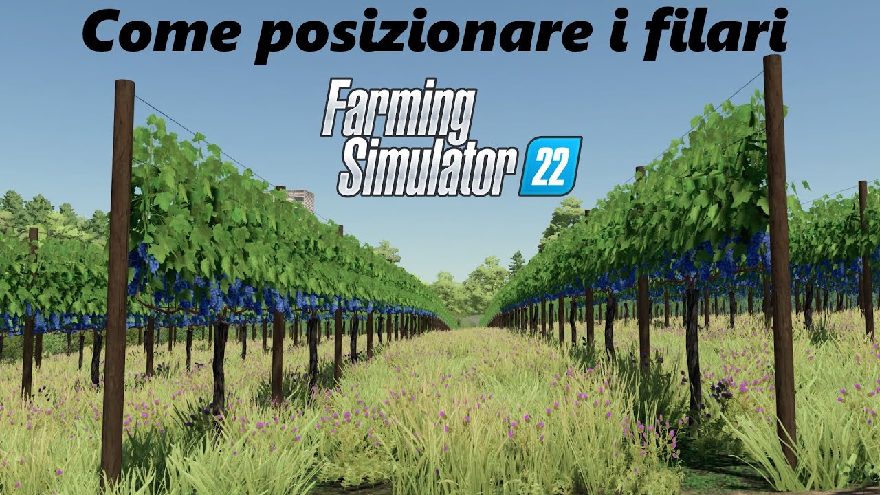 Farming Simulator 22 Come posizionare i filari in modo preciso (vigneto)