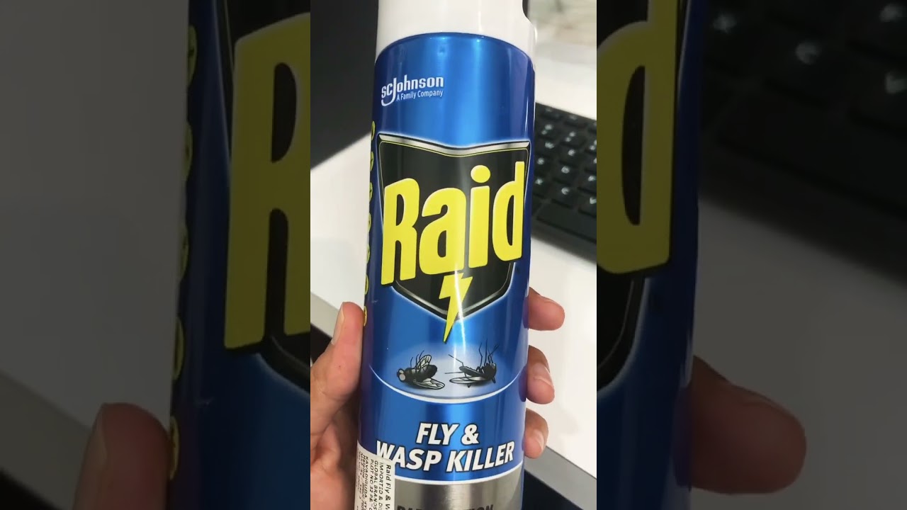 Raid Flying Insect Spray #raid #mosquito #killer #ytshorts