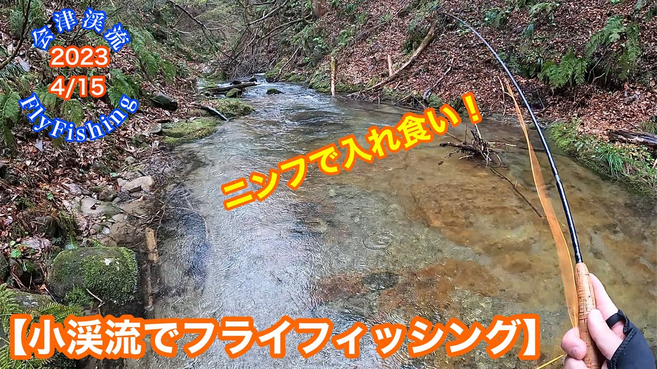 2023-4/15会津渓流FlyFishing ニンフで入れ食い【小渓流でフライフィッシング】