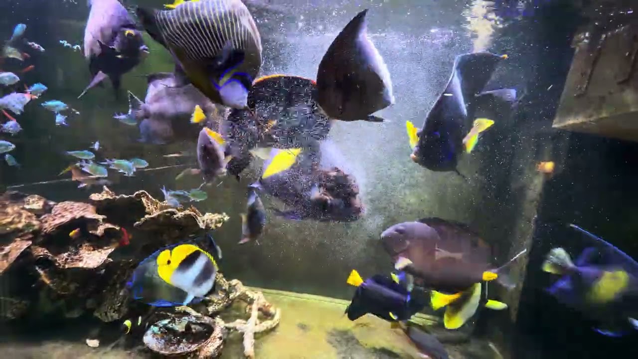 Feeding time