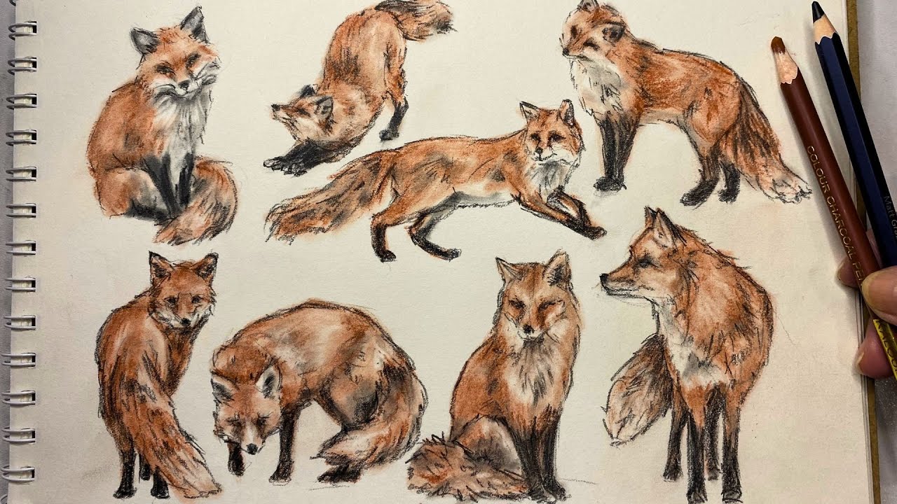 ASMR Two-Pencil Sketch of a Fox in Dynamic Poses | Realistic Fox Drawing