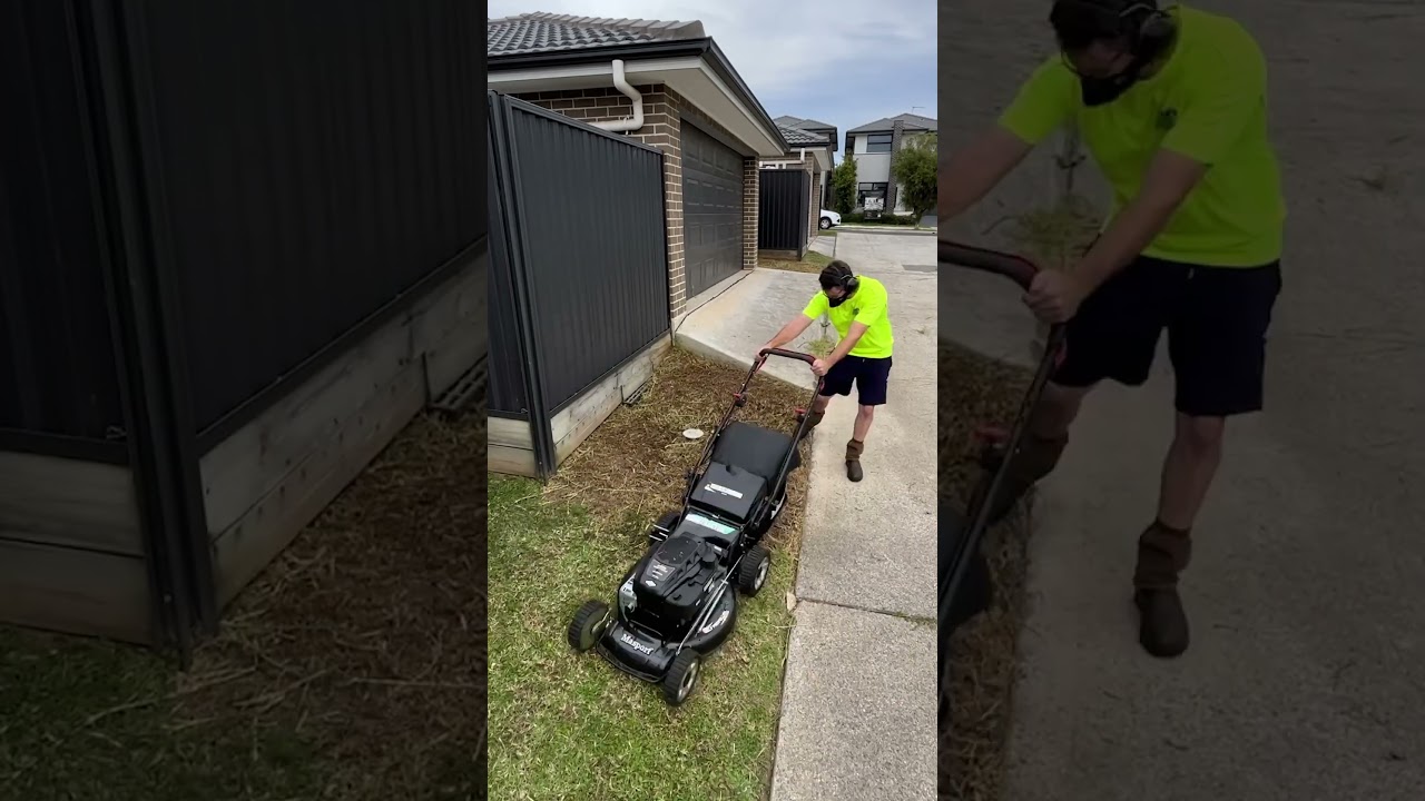 Classic Neighbour Property Line Lawn Dispute