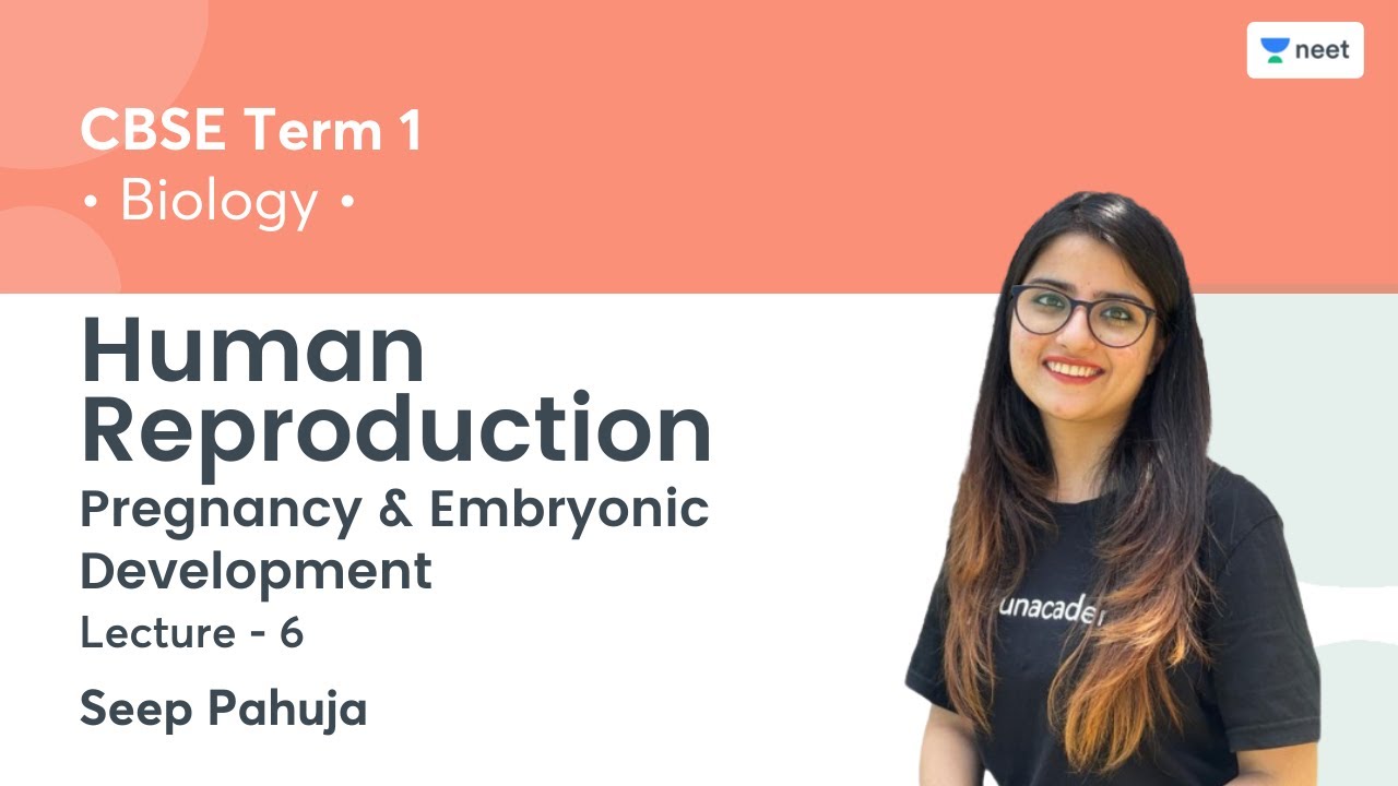 Human Reproduction | Pregnancy & Embryonic Development | L6 | Term 1 | Unacademy NEET | Seep Pahuja
