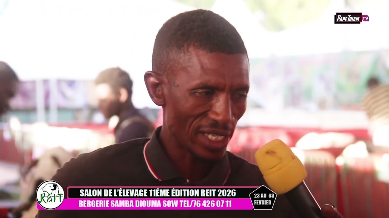 Beregerie samba diouma sow foire reit