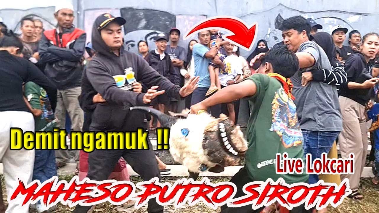 😱 DETIK DETIK KALAPAN GANAS ! MAHESO PUTRO SIROTH BIKIN CHAOS PENONTON ‼️