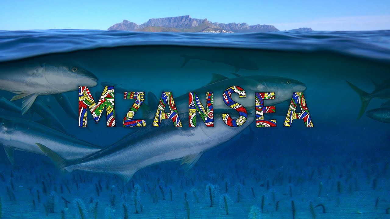 MzanSea | A celebration of South Africa's oceans and new Marine Protected Areas