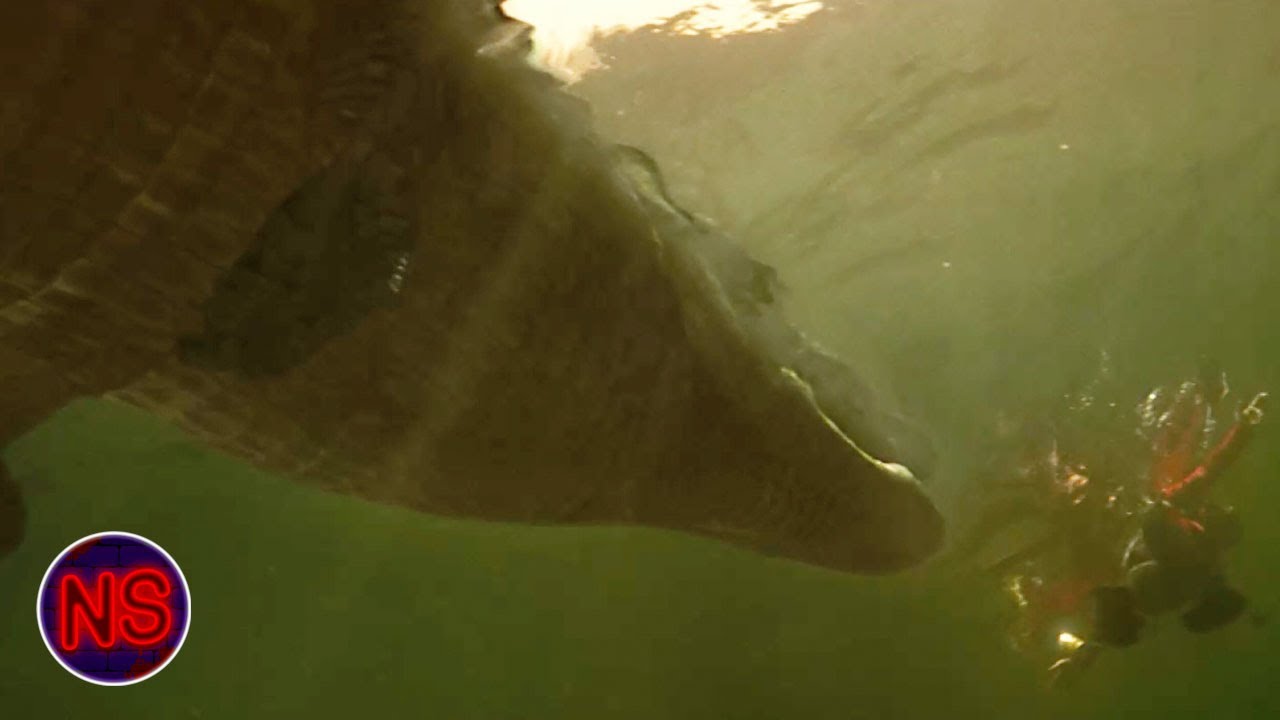 Diver Barely Escapes From the Giant Croc | Lake Placid | Now Scaring