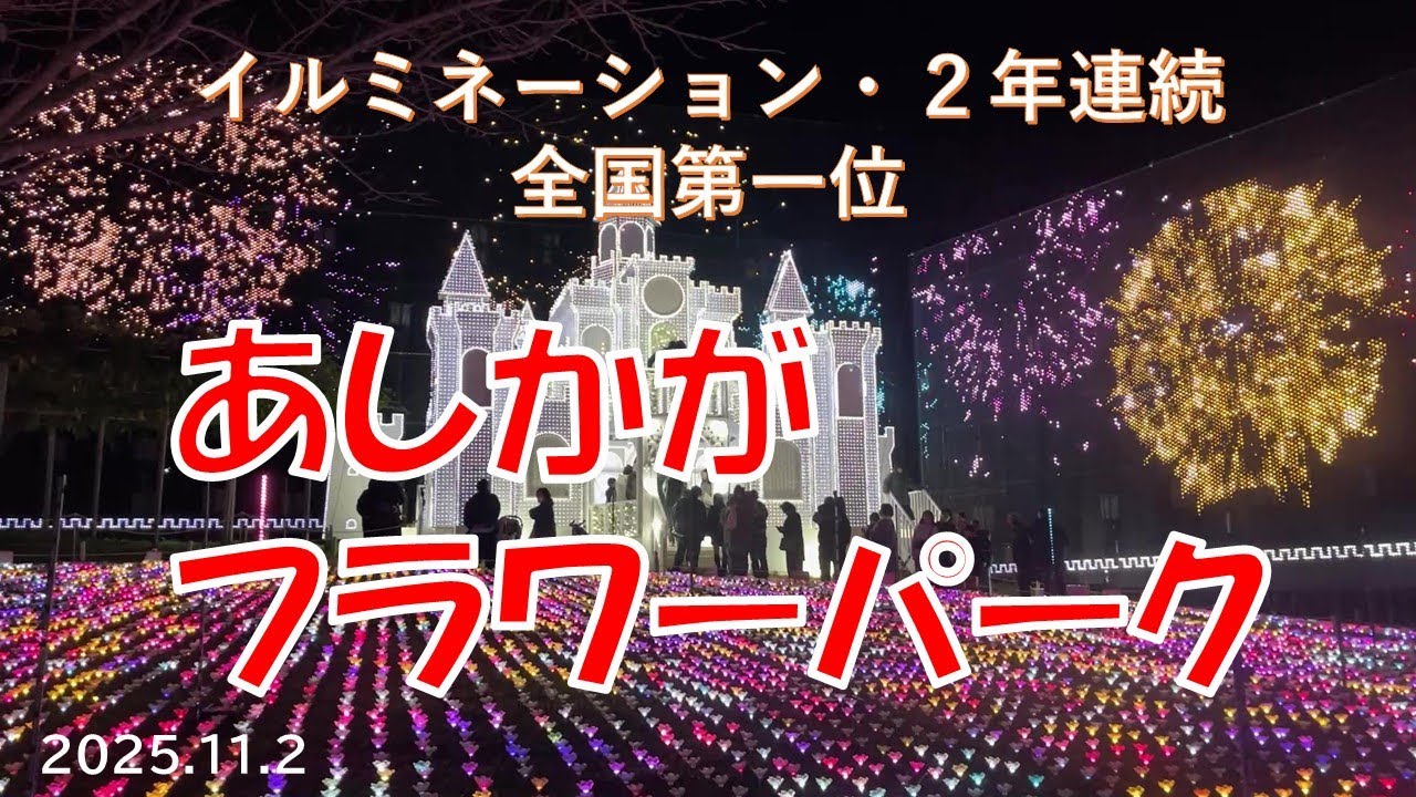 圧巻の光の世界！あしかがフラワーパーク・イルミネーション2025【全国ランキング２年連続１位】