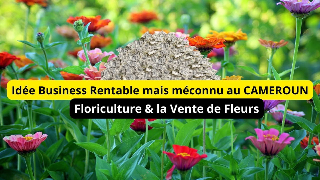 REPORTAGE CAMEROUN HORTICULTURE, Un business rentable accessible et méconnu