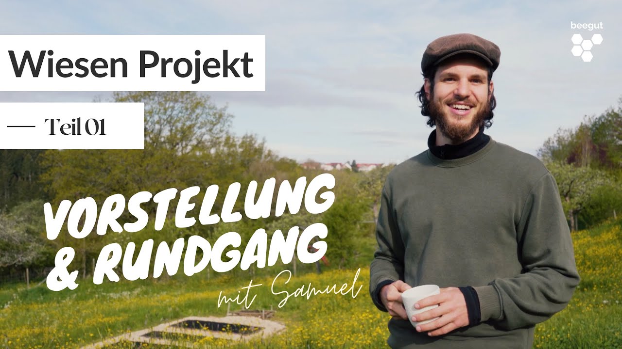 beegut Wiesenprojekt: Von der Wiese zur Blühfläche / Rundgang & Projektvorstellung