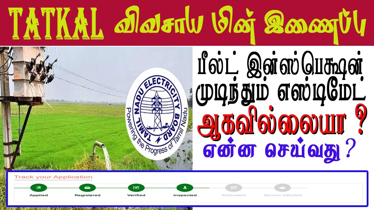 🔥TATKAL மின்இணைப்பு field இன்ஸ்பெக்ஷன் முடிந்தும் எஸ்டிமேட் ஆகவில்லையா? என்ன செய்வது? Next Step