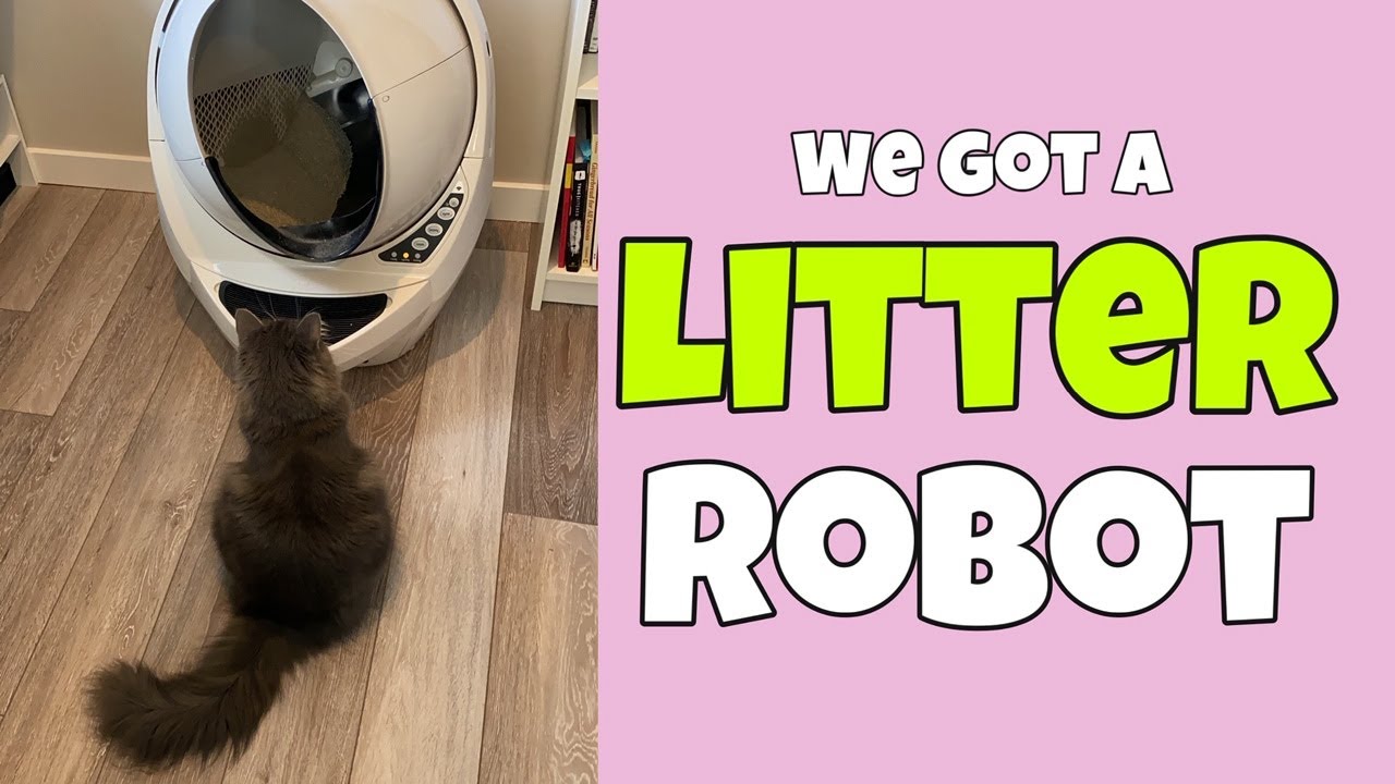 We Got a Litter Robot!