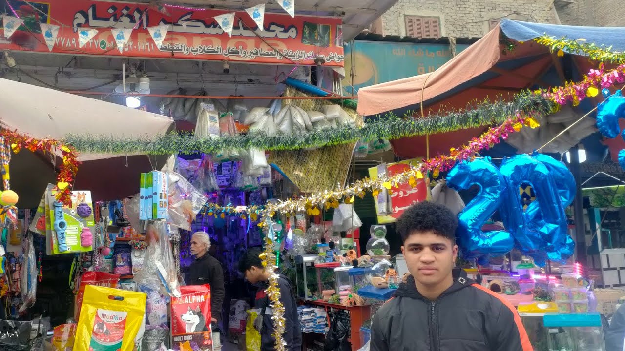 عروض وتخفيضات محمد سكر من سوق الجمعه بالسيدة عائشة جميع اكسسوارات اسماك الزينه والكلاب والقطط 🦮🐠😾📢