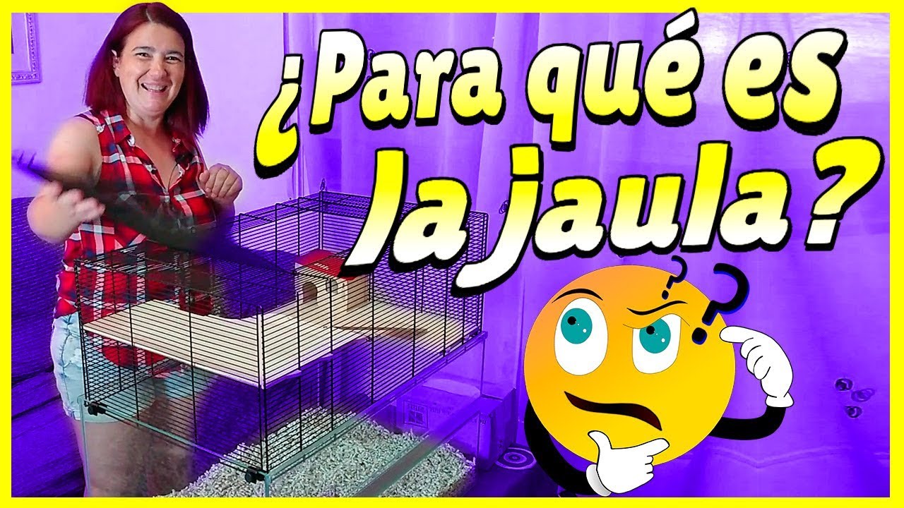 DESVELADO EL MISTERIO 👀Jaula para las nuevas mascotas limpias y fáciles de cuidar