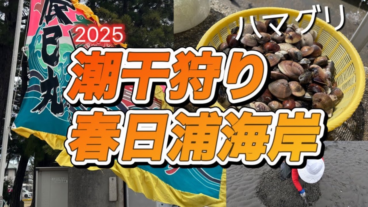 潮干狩り 春日浦海岸2025