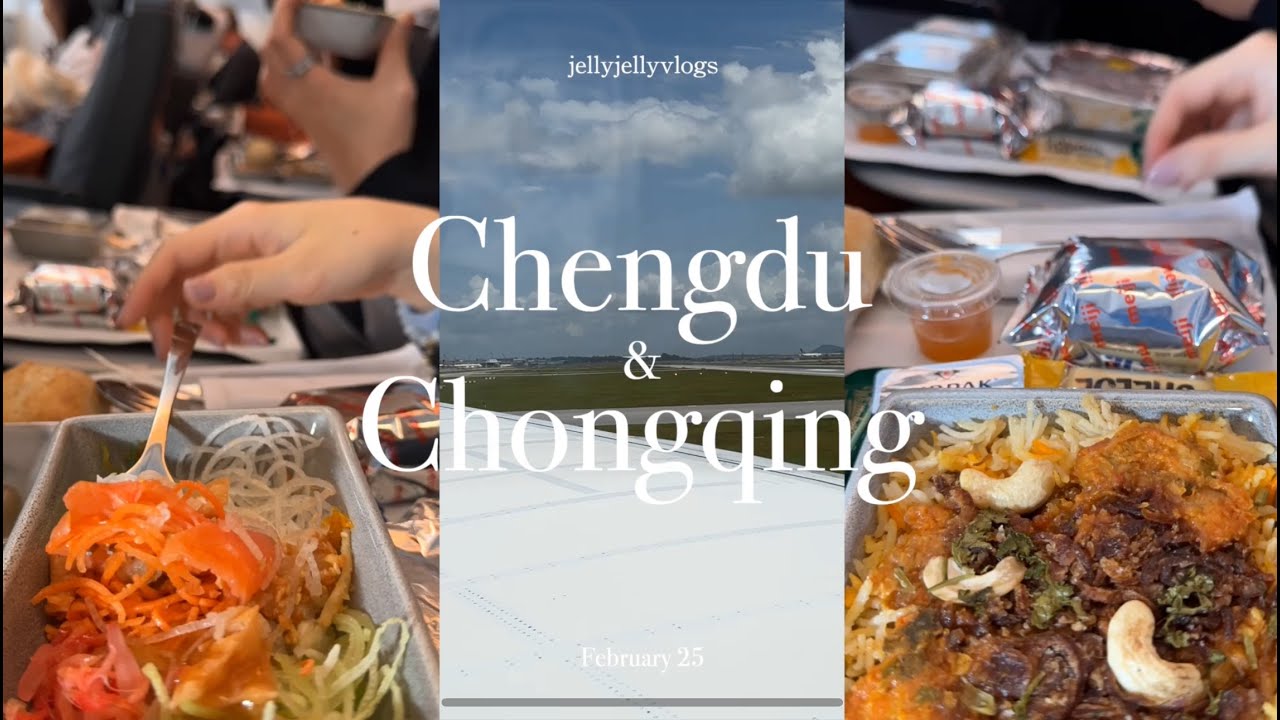 Chengdu and Chongqing vlog | cute pandas, sichuan hotpot, best places to explore, eat and drink