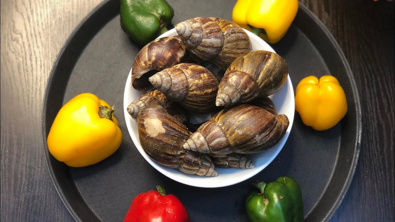 How To Remove Snail Shell And Slime Using Just Hot Water And Lime | Debs Cooking Tips
