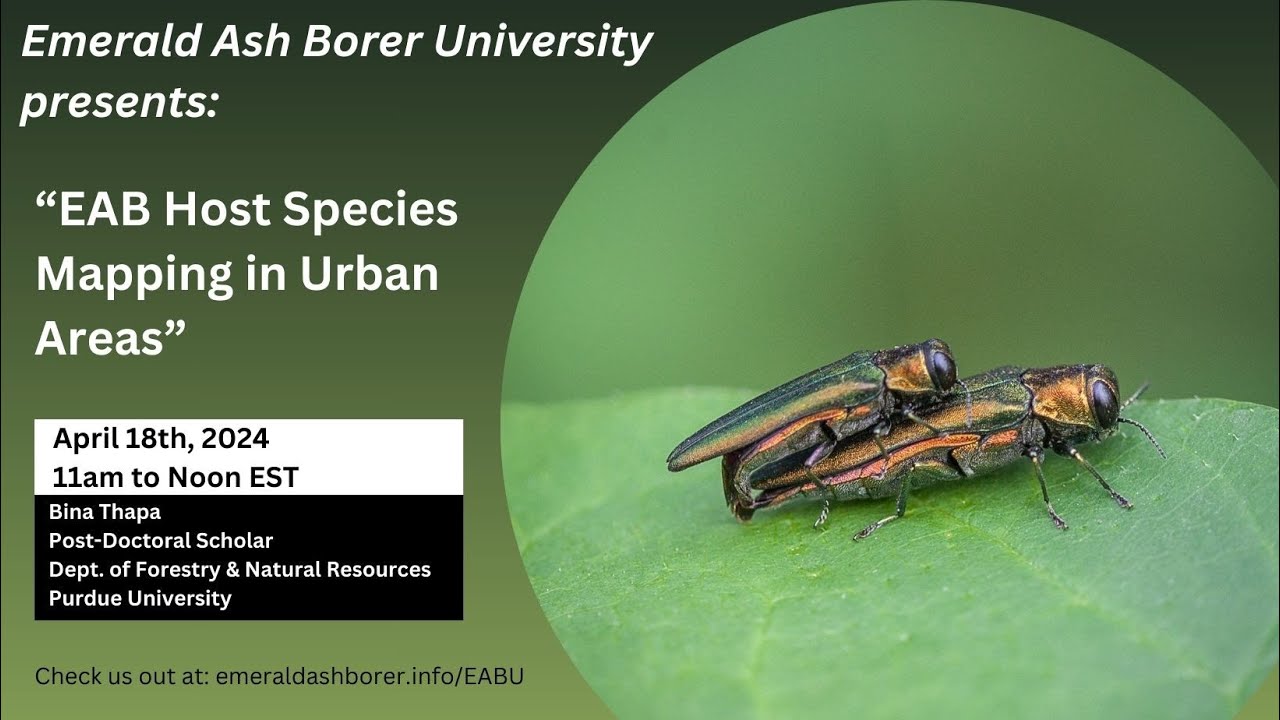 EAB Host Species Mapping in Urban Areas