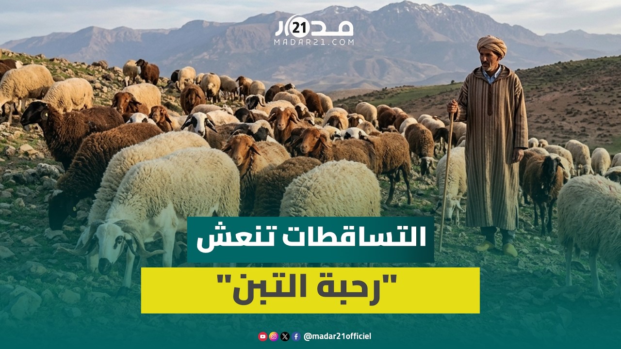 أمطار الخير تنعش المنتوجات بـ