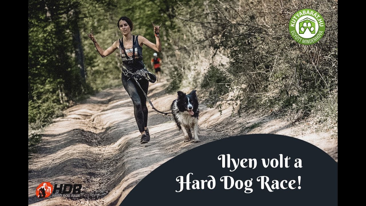 Ilyen volt a Hard Dog Race! 🐾  (2019.04.20.- HDR Base)