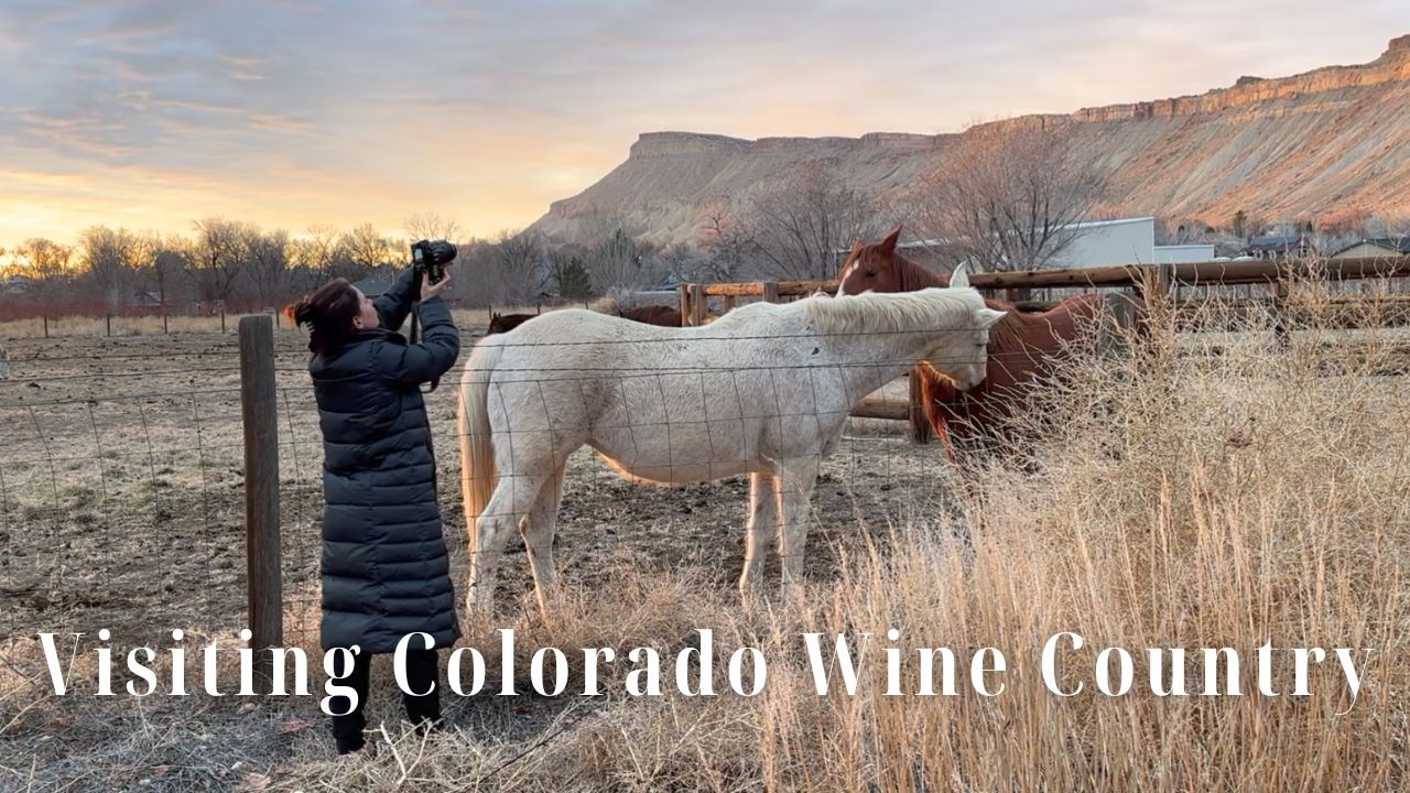Vacation To Colorado Wine Country | Touring Vineyards and Meeting Horses