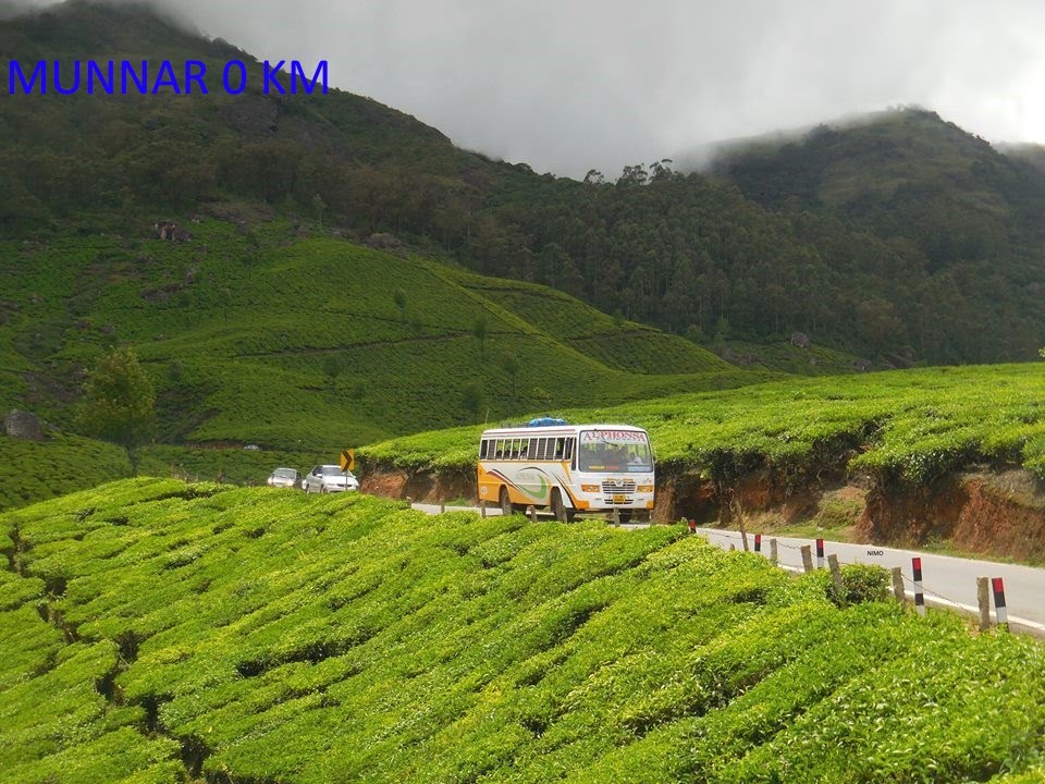 Munnar Kerala | Waterfalls | Tea garden | Dam | Fog | Spice garden