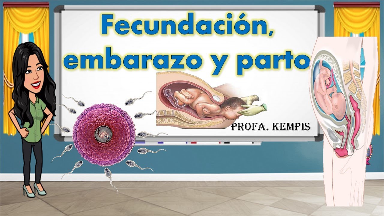 Fecundaci&oacute;n, embarazo y parto