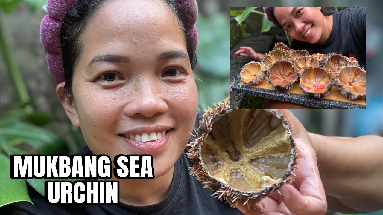 Mukbang Tayong  Sea Urchin yummy #unizavlog  #food  #mukbang 