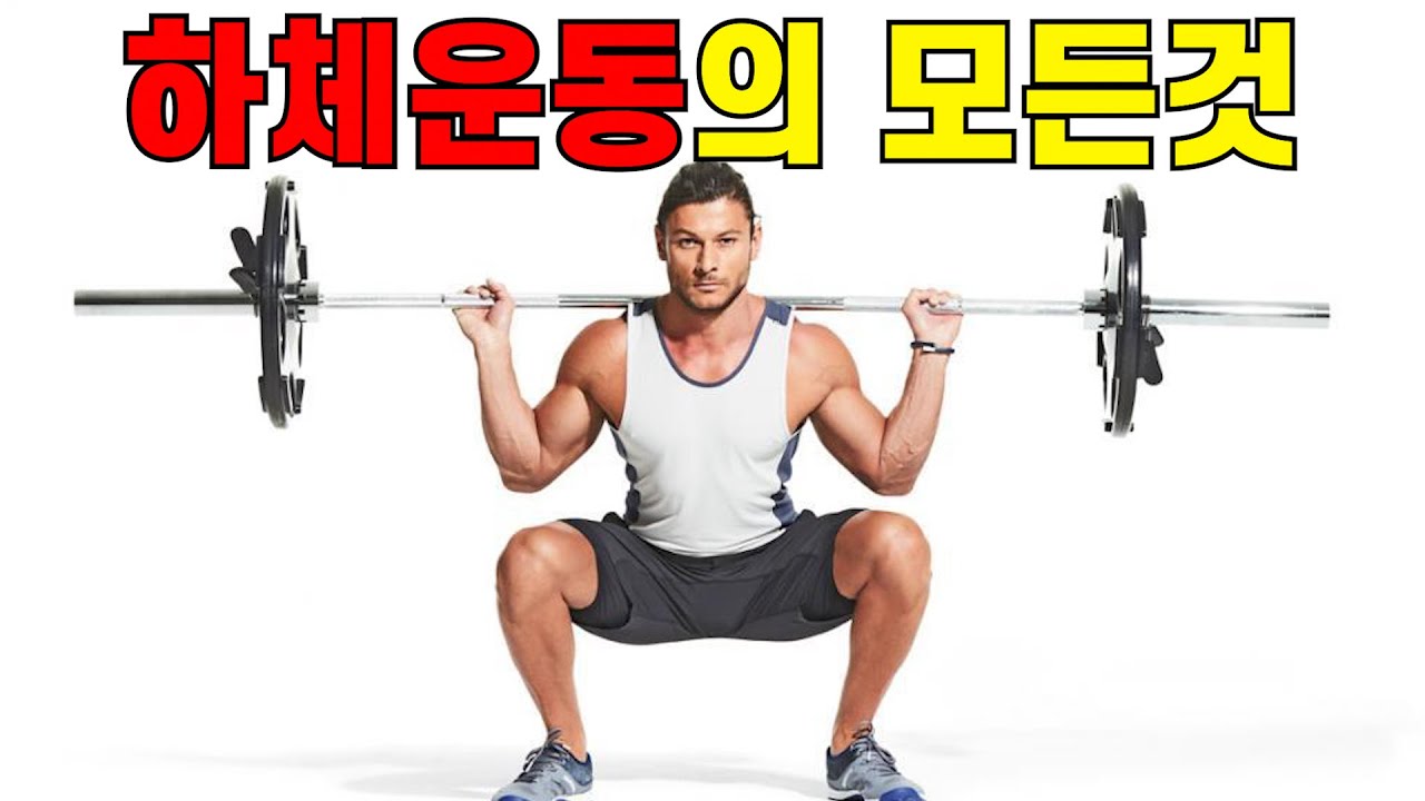 보디빌딩의 정석 #1(하체)