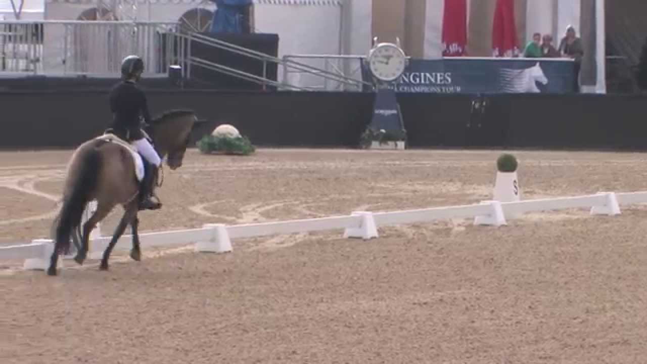 Burschik, Kim und Now and forever Feivel Vienna Masters 2014...