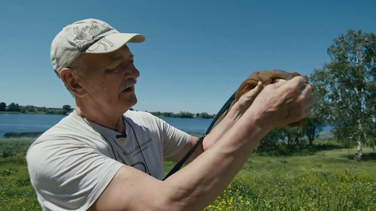 Kas dzīvo pilsētas pļavās?