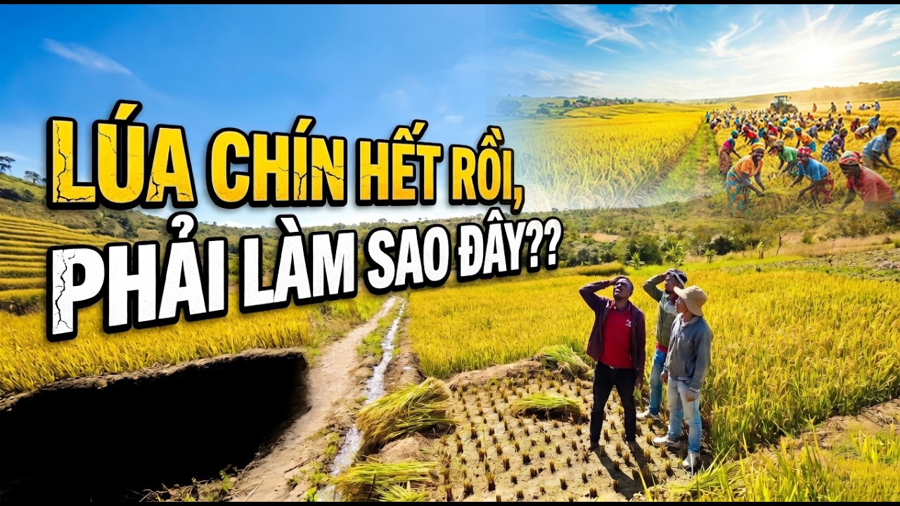 Linh Philip Vlogs || L&uacute;a Ch&iacute;n Hết Rồi - Phải L&agrave;m Sao Đ&acirc;yy???